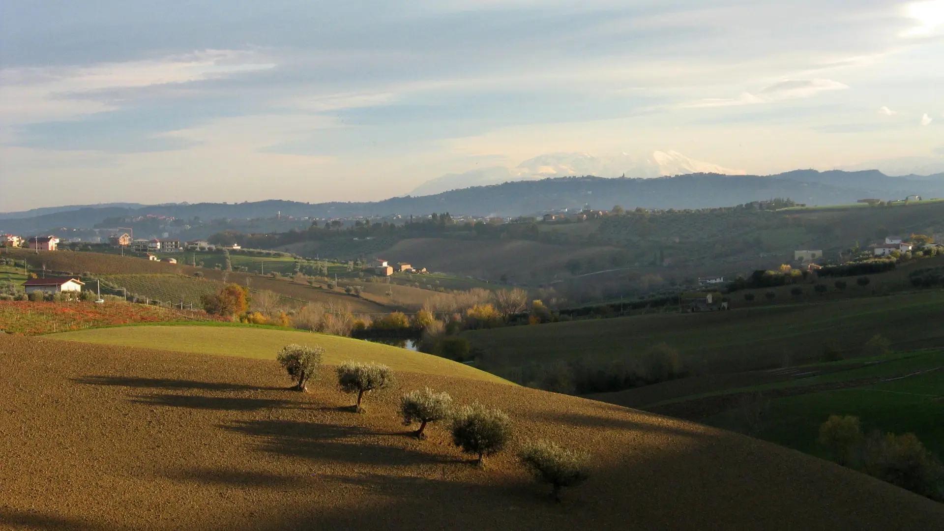 Immagine di un paesaggio nelle Marche