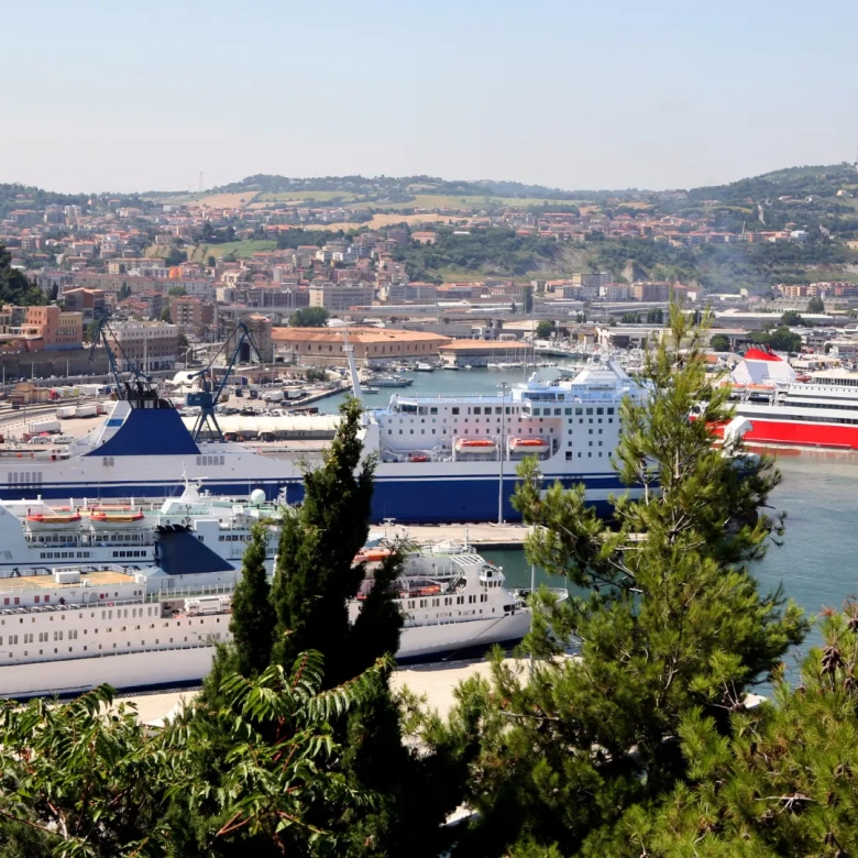 Cosa insegna il lavoro quotidiano con i proprietari ad Ancona